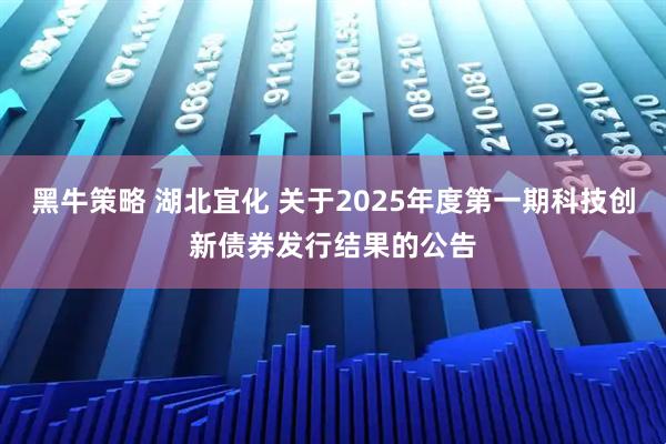 黑牛策略 湖北宜化 关于2025年度第一期科技创新债券发行结果的公告